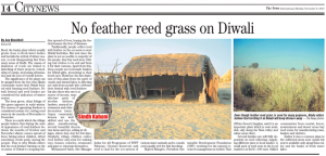 No feather reed Grass on Diwali 